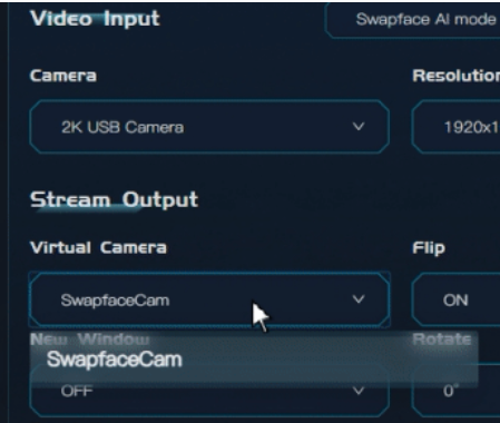 Renamed Swapface virtual camera selected in the camera dropdown